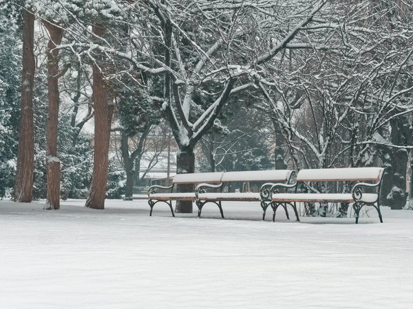 Les allergies respiratoires : symptômes et traitements