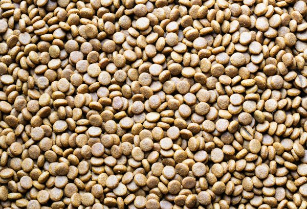 L'endocrinologie au service de la beauté : la gestion des maladies de la peau